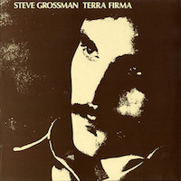 1975-76. Steve Grossman, Terra Firma