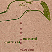 2007. Natural/Cultural Forces, Engine