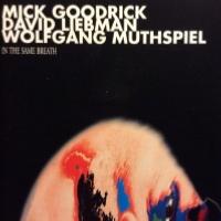 1995. Mick Goodrick/David Liebman/Wolfgang Muthspiel, In the Same Breath, CMP Records