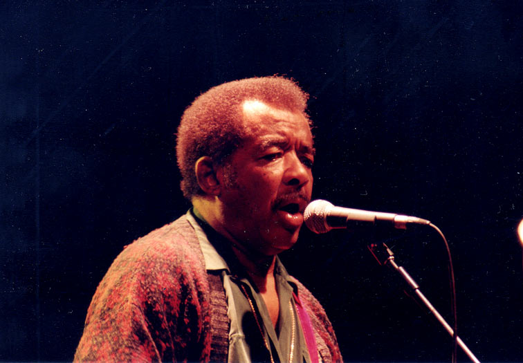 Jimmy Johnson, Getxo Blues © Fernand Iza